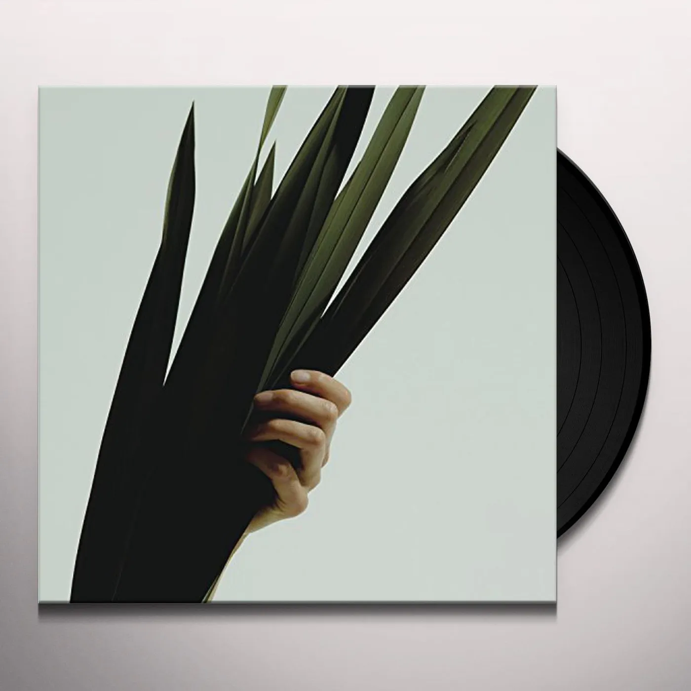 Wet WEAK / LOSING ALL WE KNEW Vinyl Record