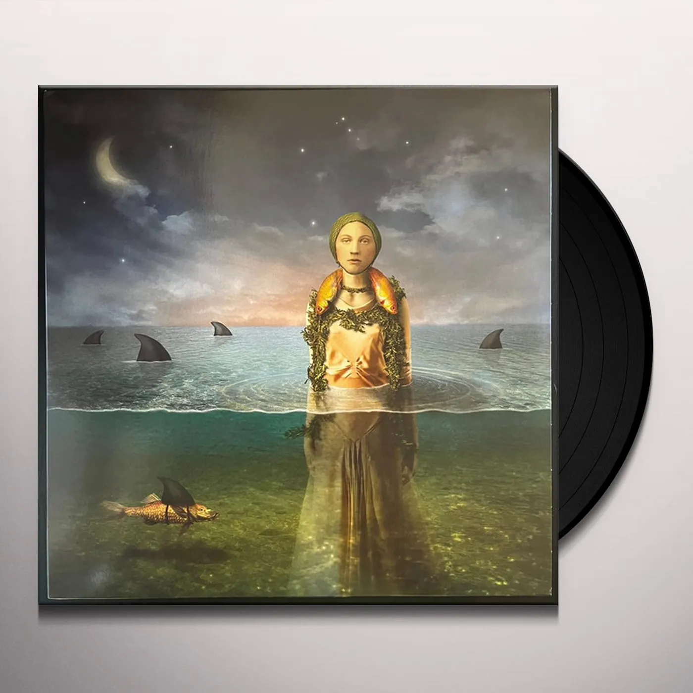 The Bled Found in the Flood Vinyl Record