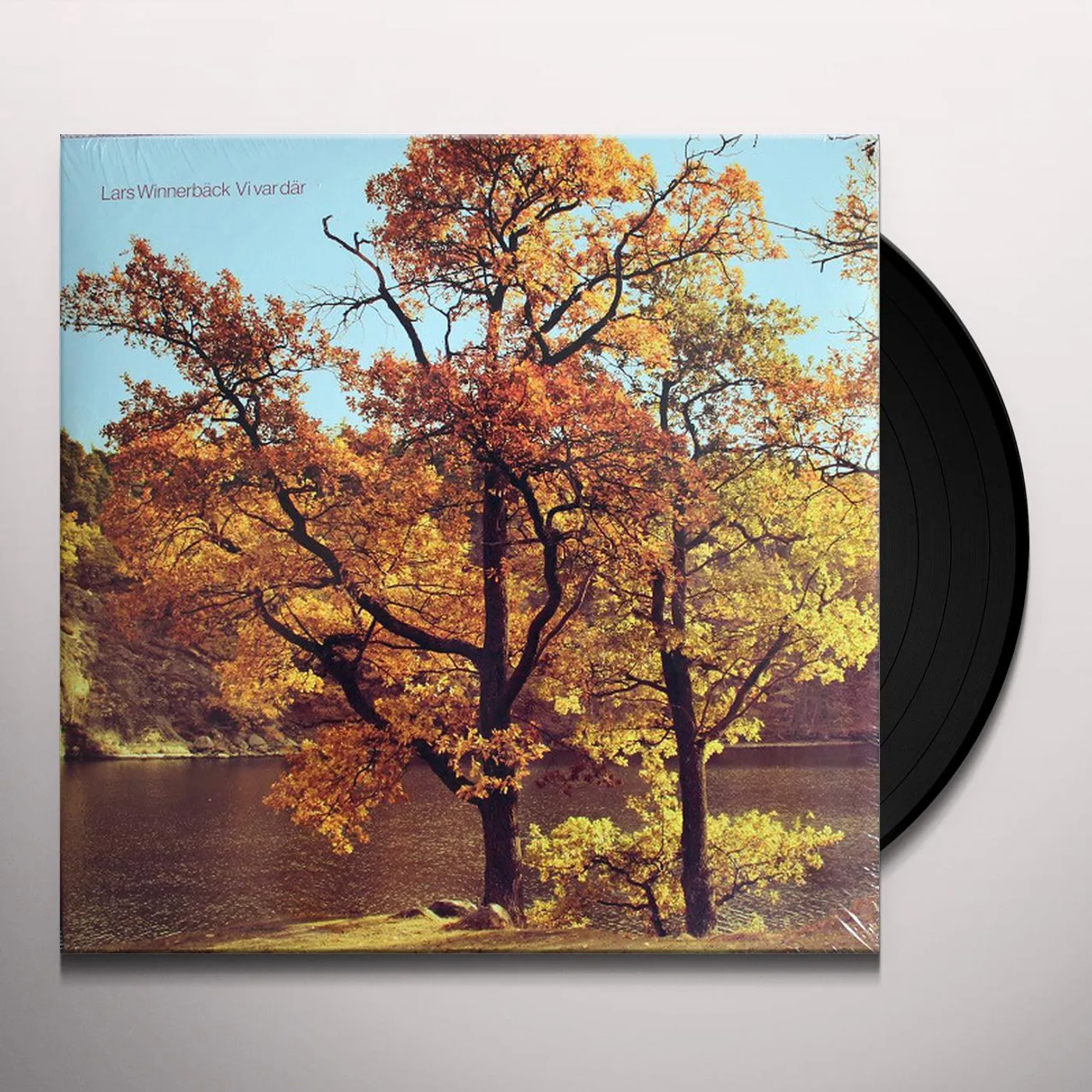 Lars Winnerbäck VI VAR DAR Vinyl Record