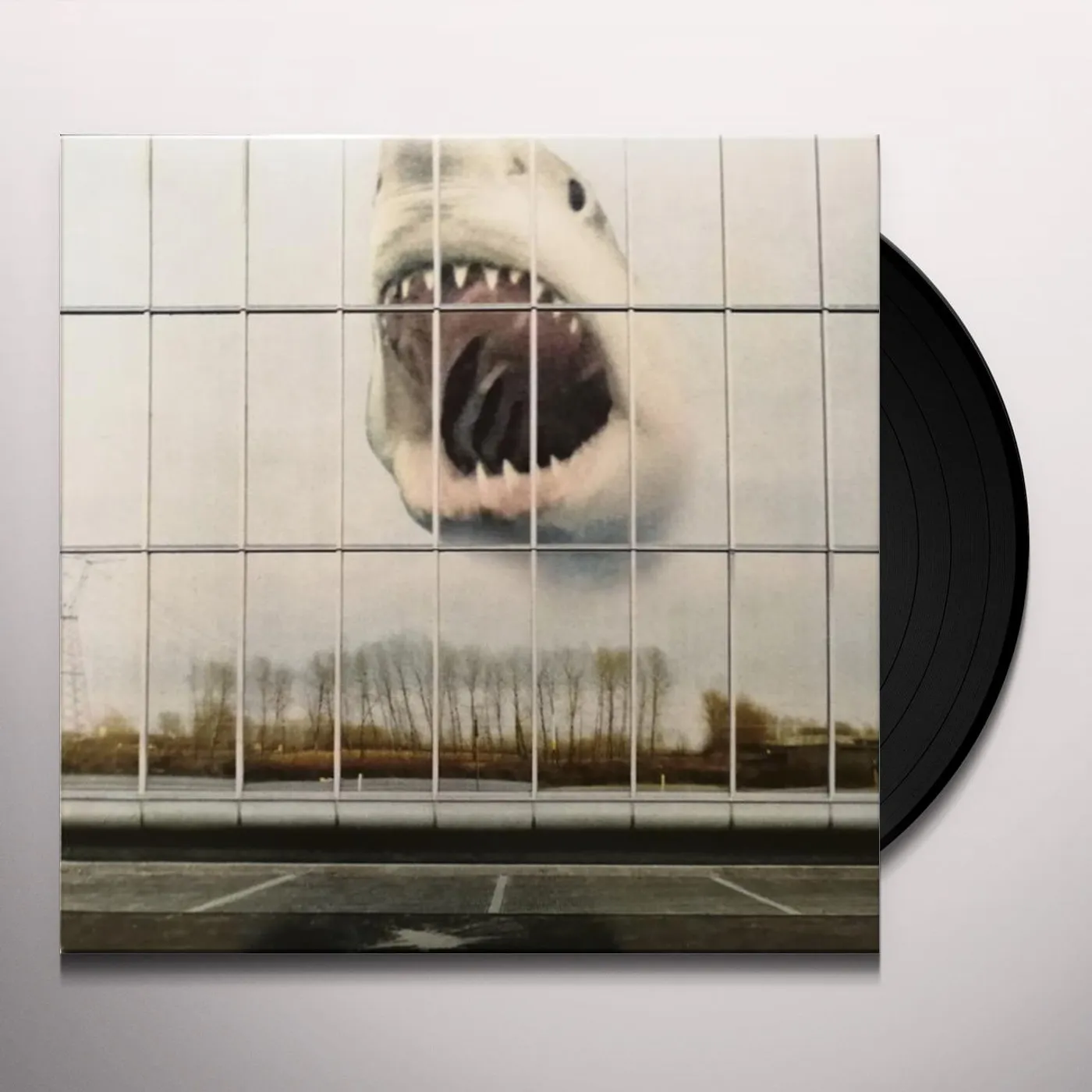 Black Mountain Wilderness Heart Vinyl Record