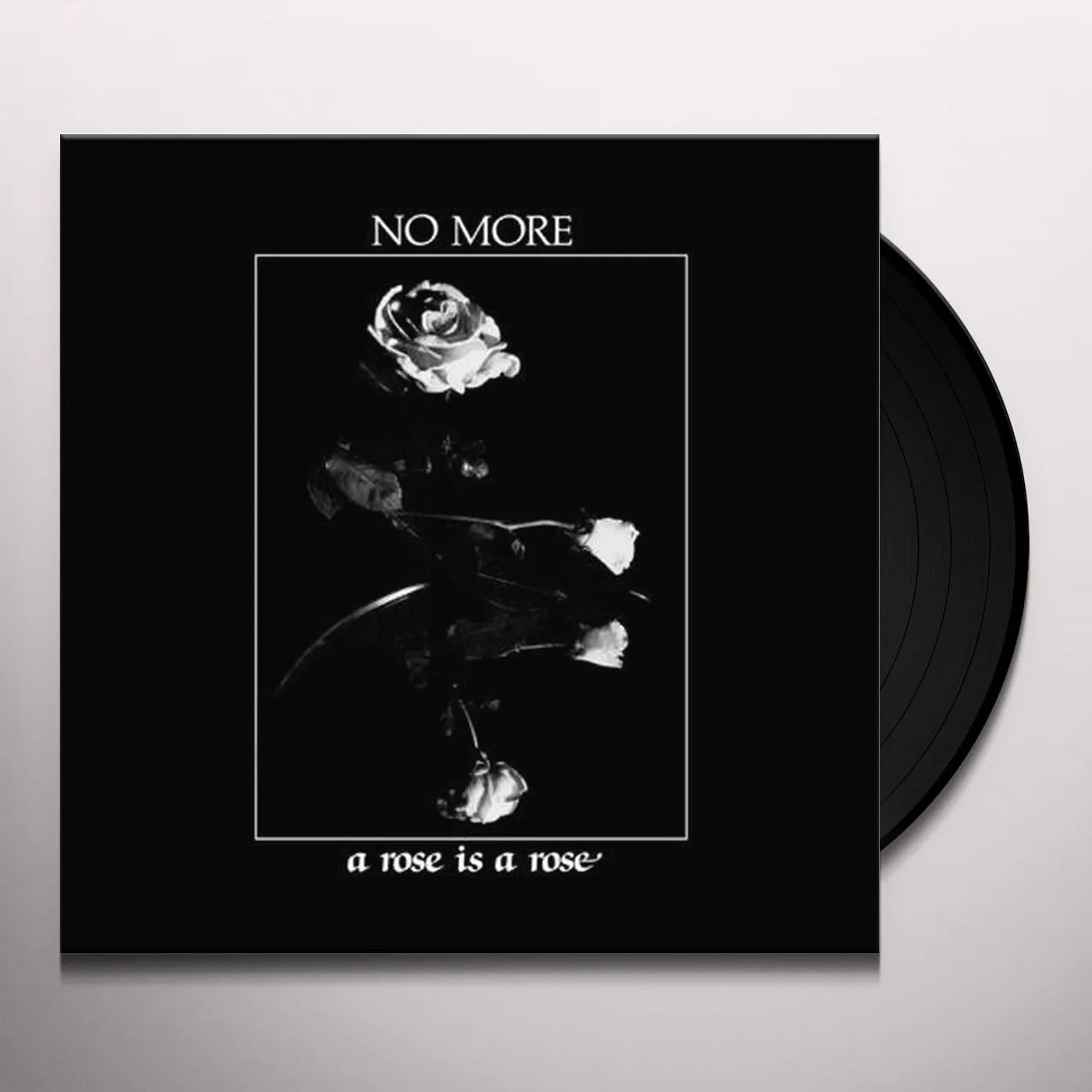 No More A Rose Is A Rose Vinyl Record
