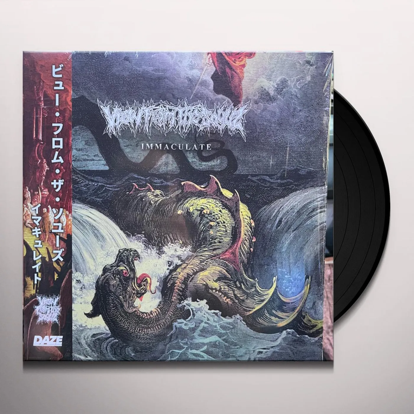 View From The Soyuz IMMACULATE Vinyl Record