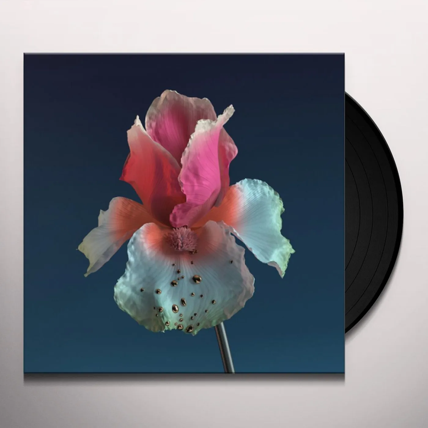 Flume TINY CITIES Vinyl Record