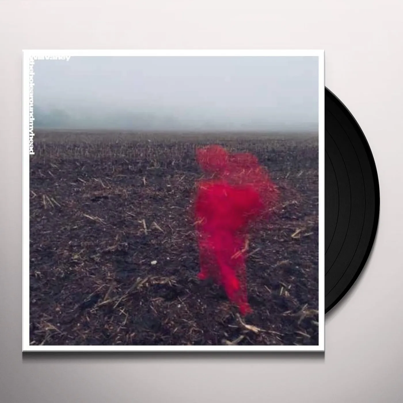 Will Varley HOLE AROUND MY HEAD Vinyl Record