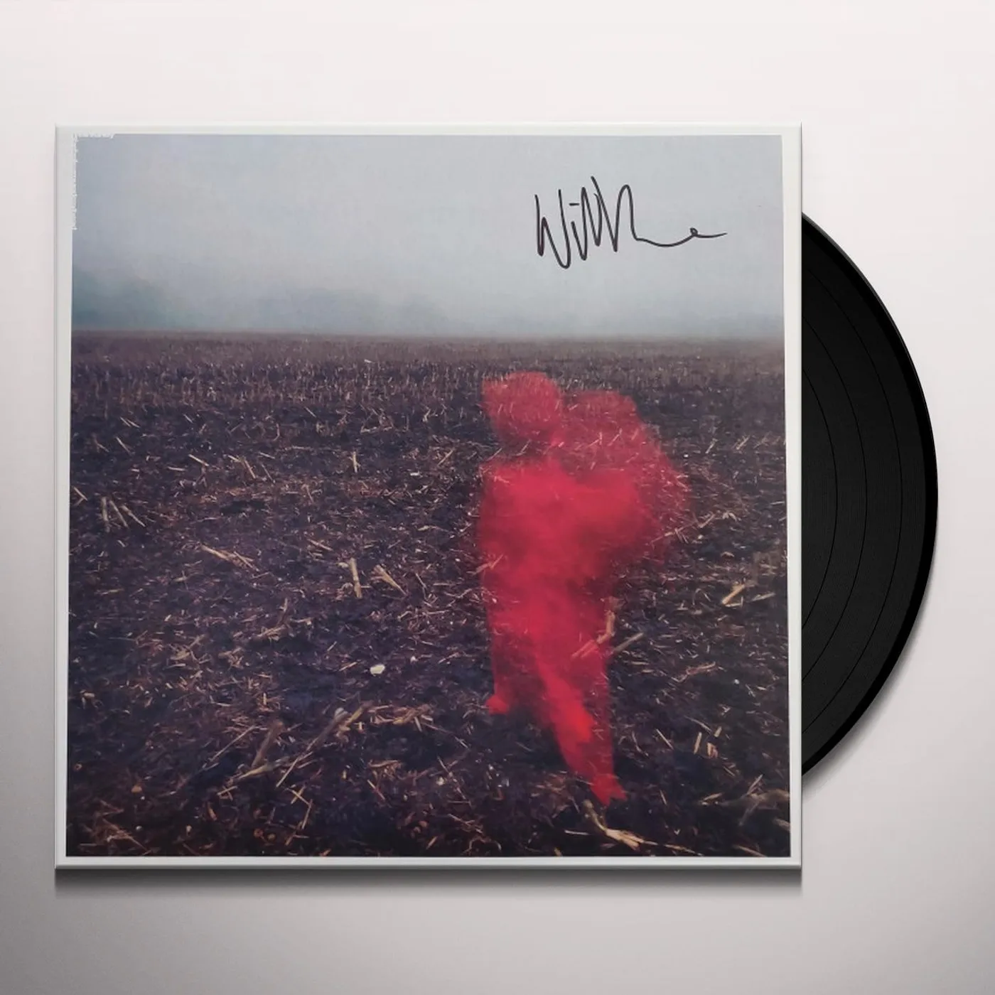 Will Varley HOLE AROUND MY HEAD Vinyl Record