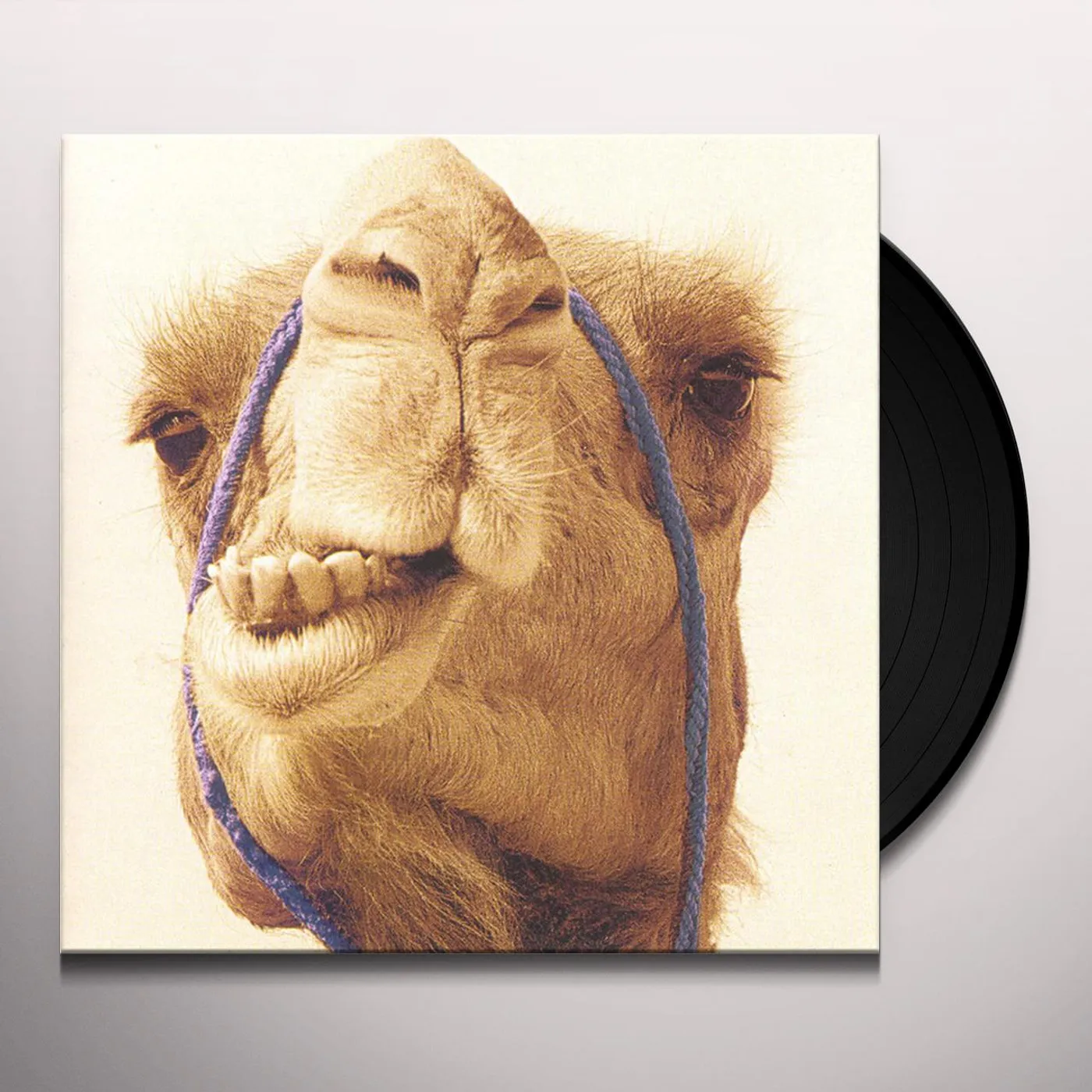 Max Gazzè Vinyl Record