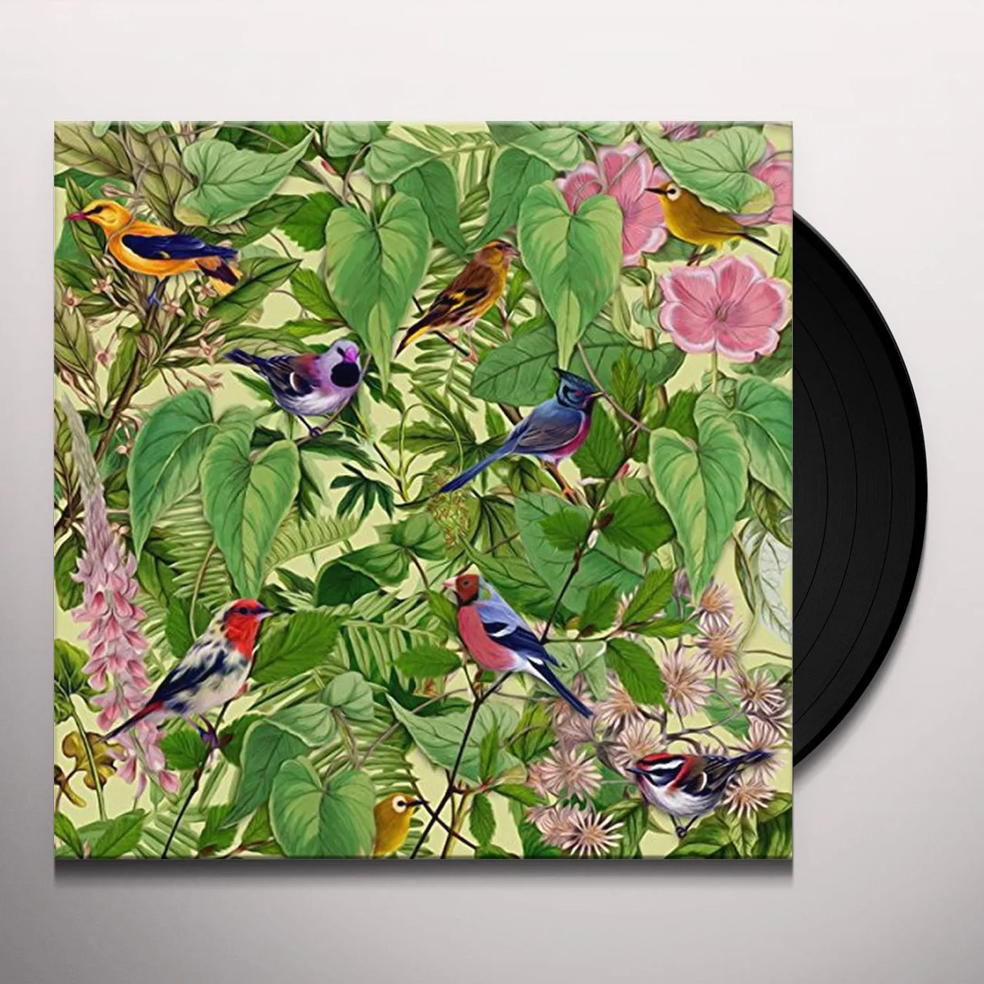 Mark Barrott SKETCHES FROM AN ISLAND Vinyl Record