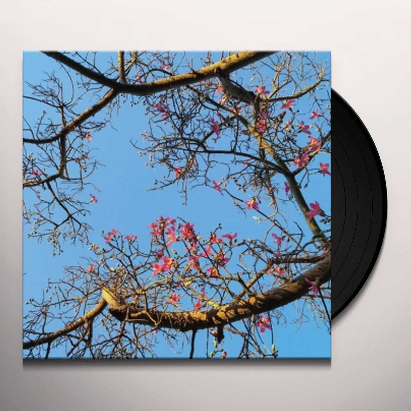 Refrigerator TEMPLE CITY Vinyl Record