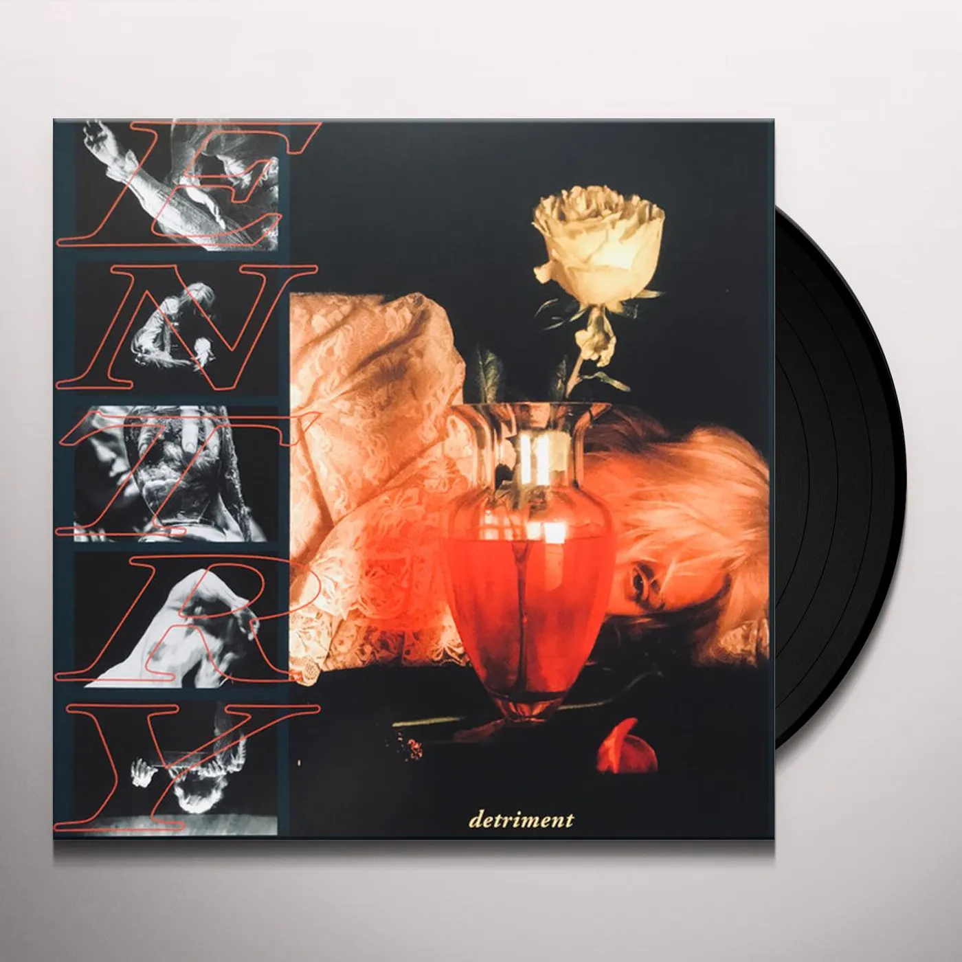 Entry Detriment Vinyl Record