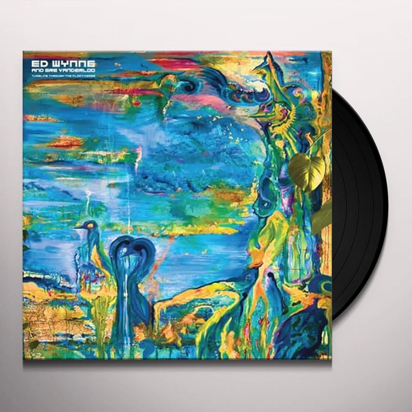 Ed Wynne Tumbling Through the Floativerse Vinyl Record