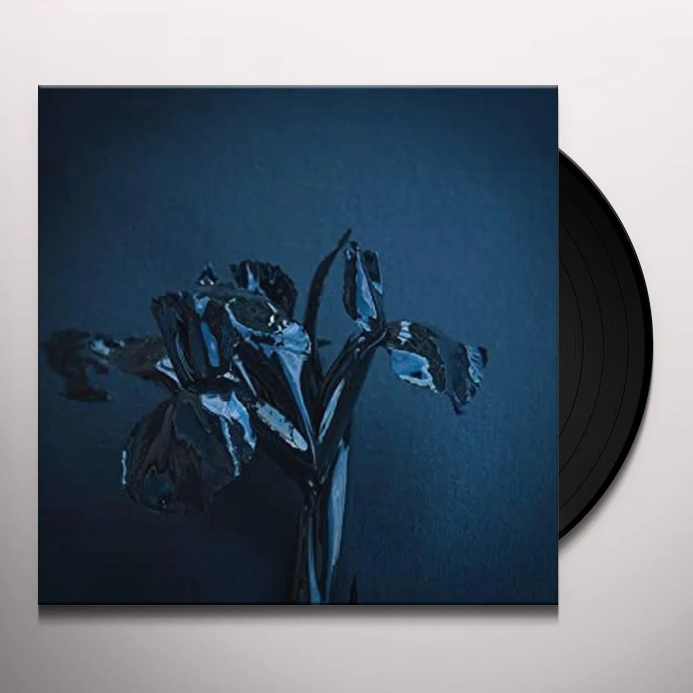 A Swarm Of The Sun RIFTS Vinyl Record