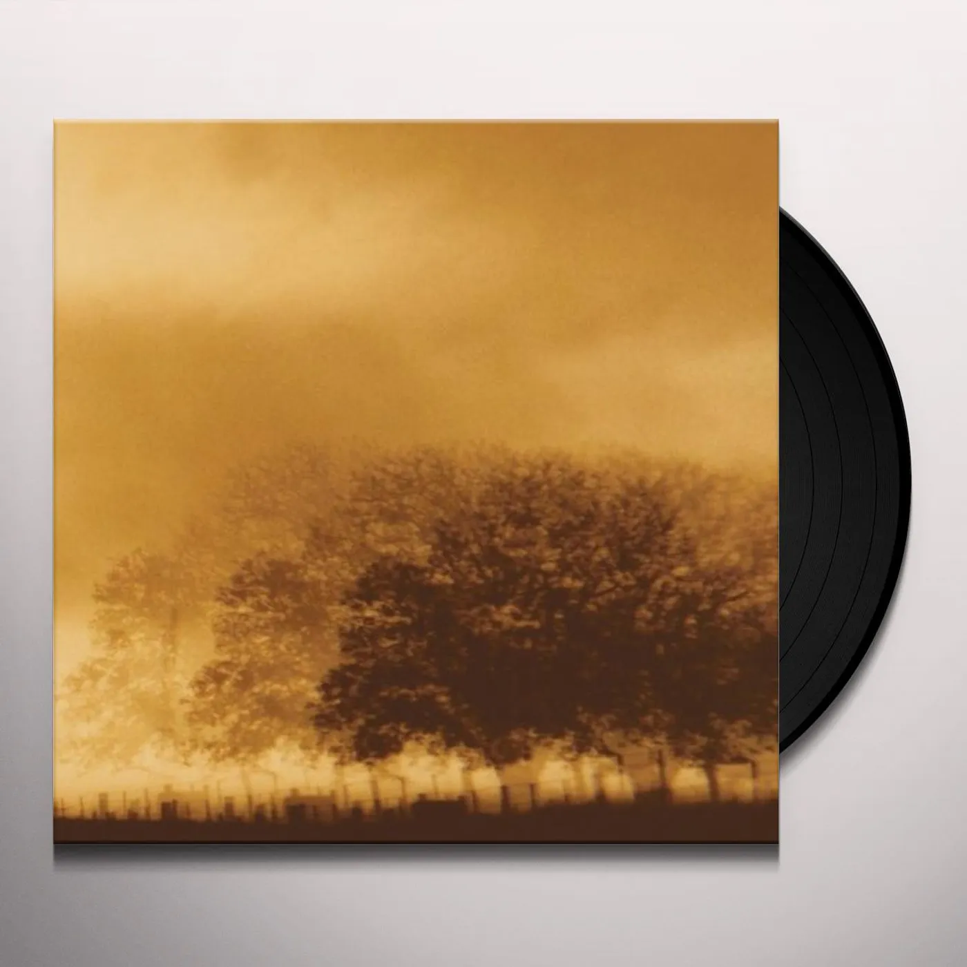 INFINITE LIGHT Vinyl Record