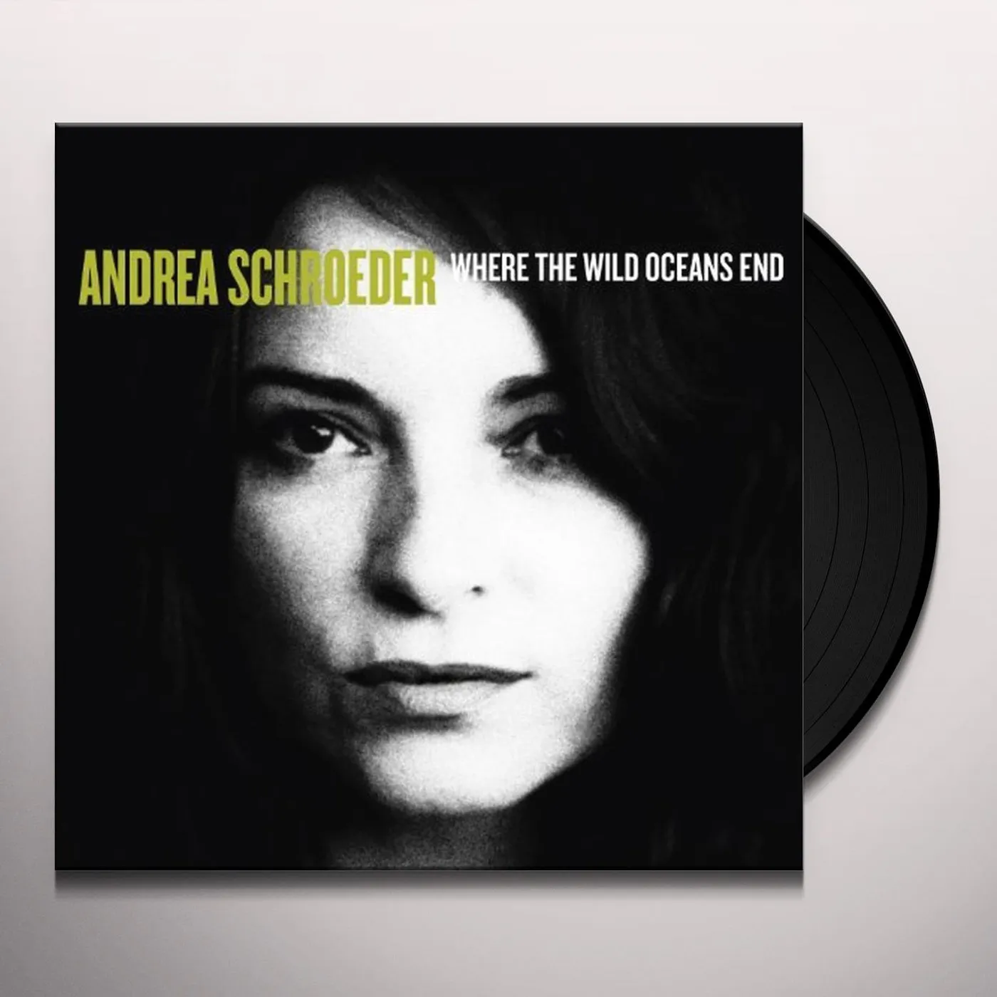 Andrea Schroeder Where the Wild Oceans End Vinyl Record