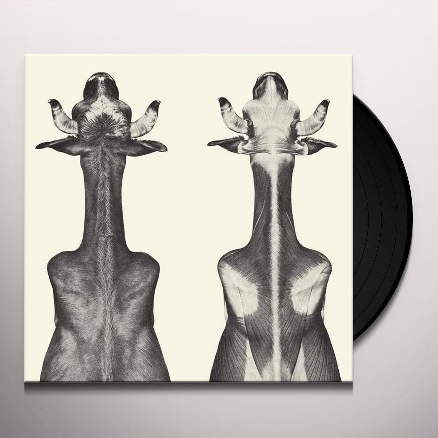 Moin MURPHY Vinyl Record