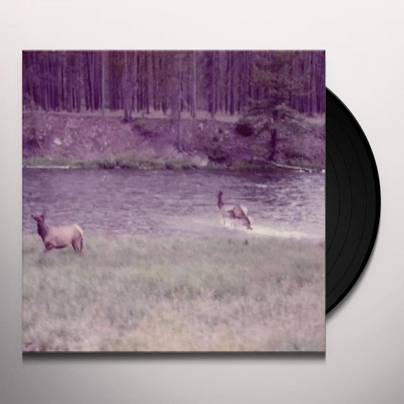 Seahaven Winter Forever Vinyl Record