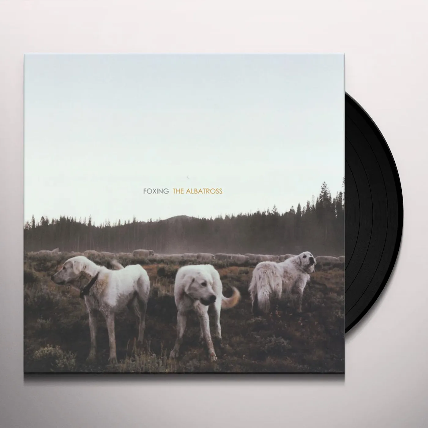 Foxing ALBATROSS Vinyl Record