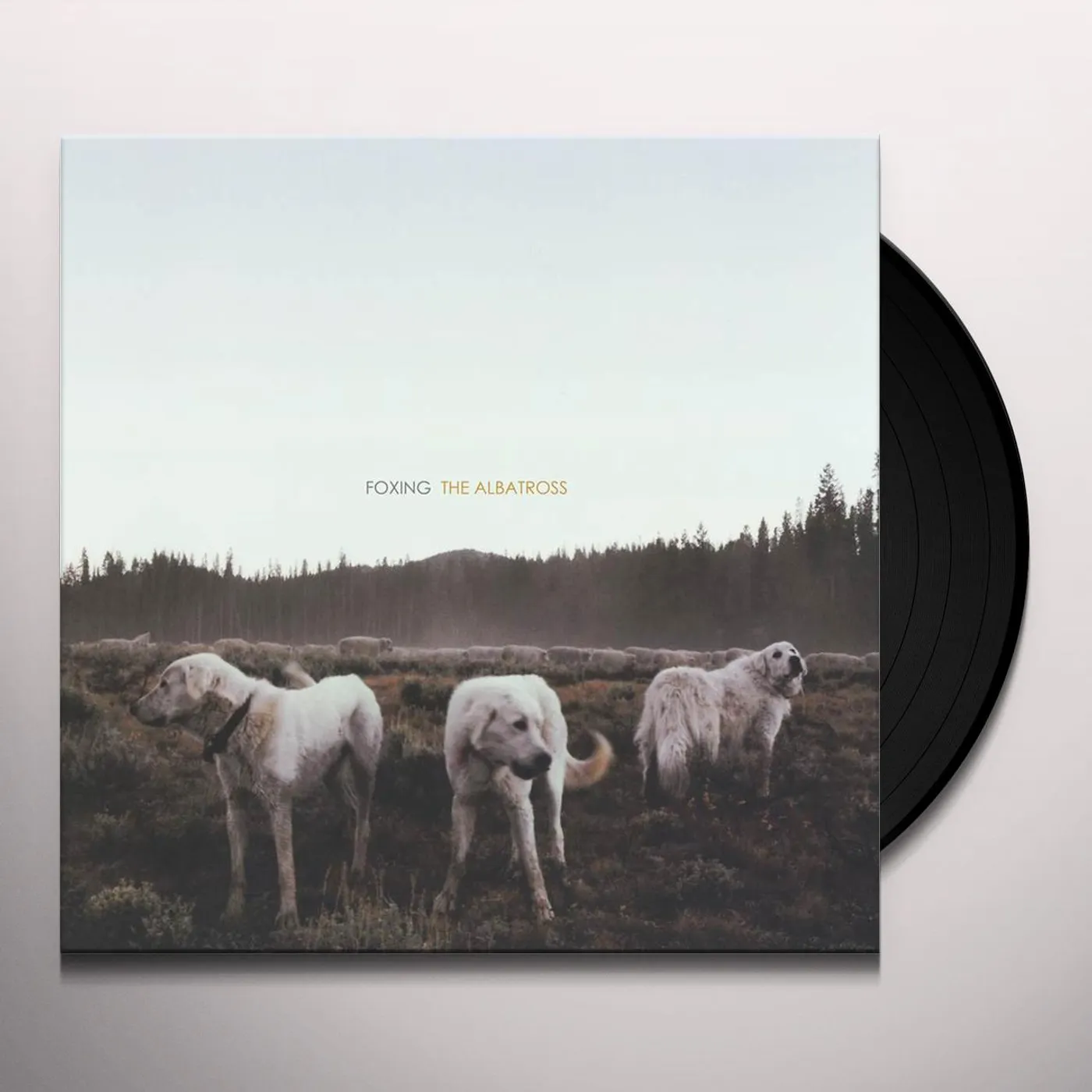Foxing ALBATROSS (BLUE/WHITE VINYL) (DLCD)
