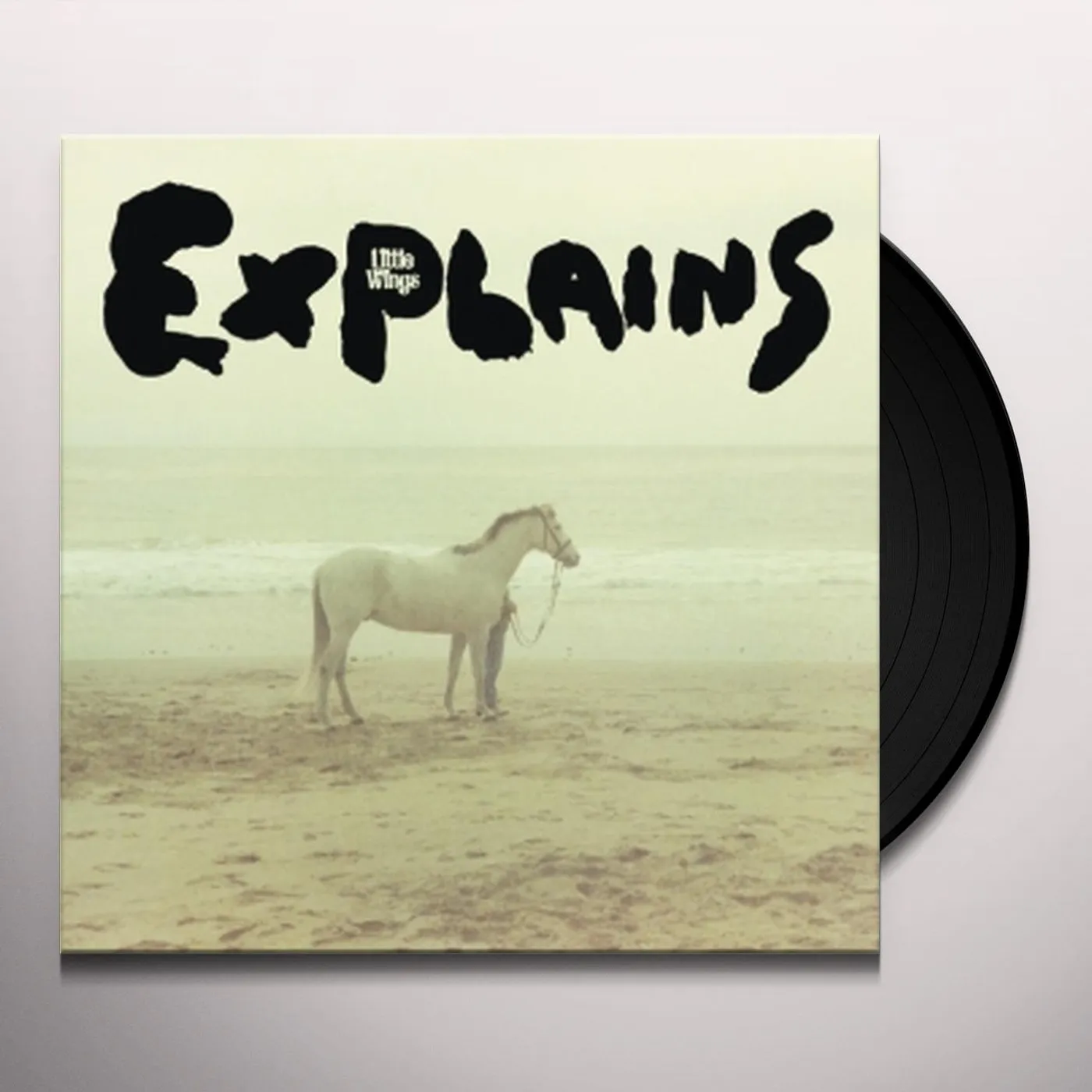 Little Wings Explains Vinyl Record