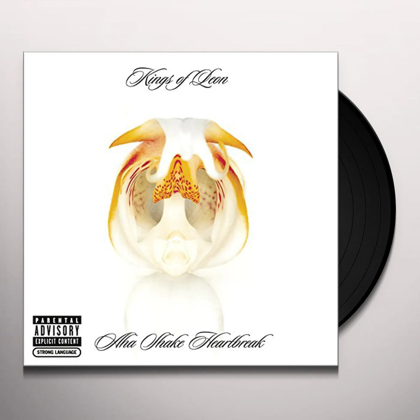 Kings of Leon Aha Shake Heartbreak Vinyl Record