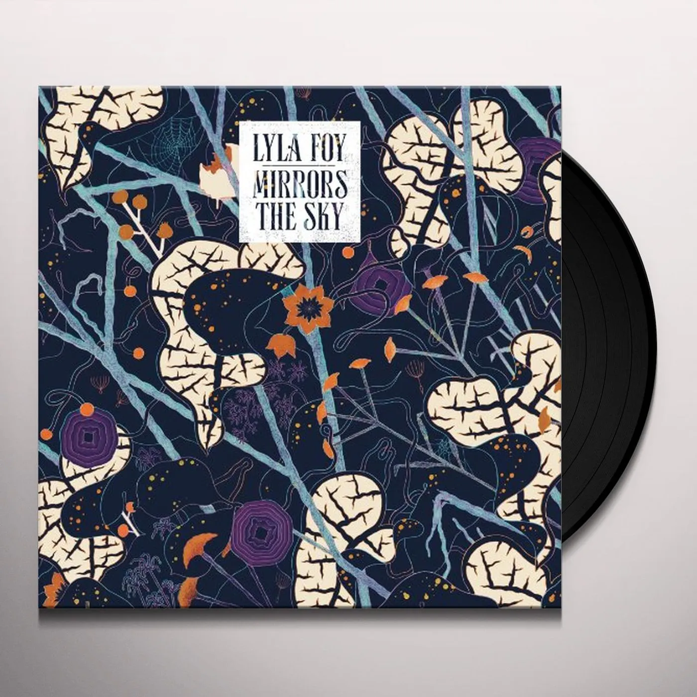 Lyla Foy Mirrors the Sky Vinyl Record