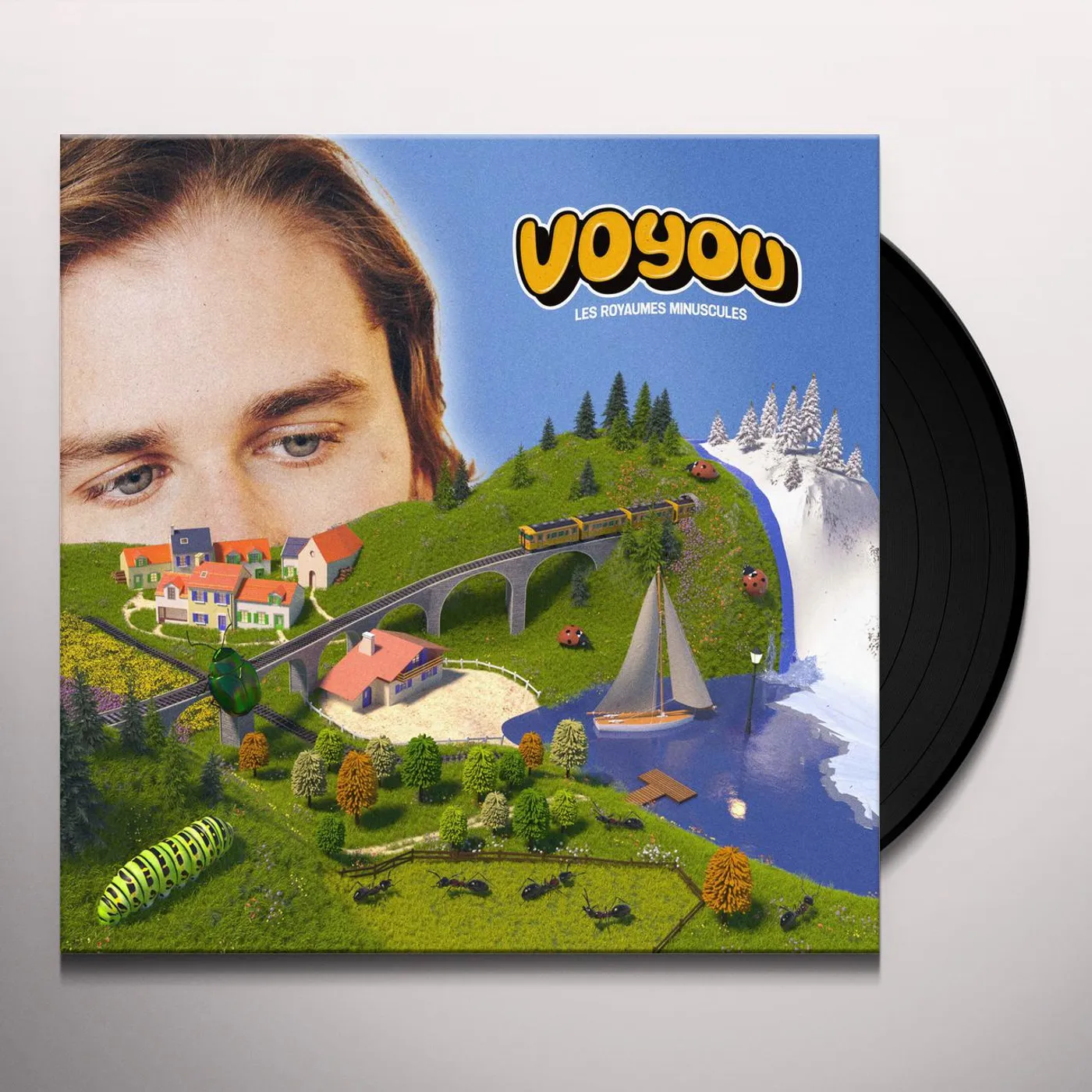 Voyou LES ROYAUMES MINUSCULES Vinyl Record