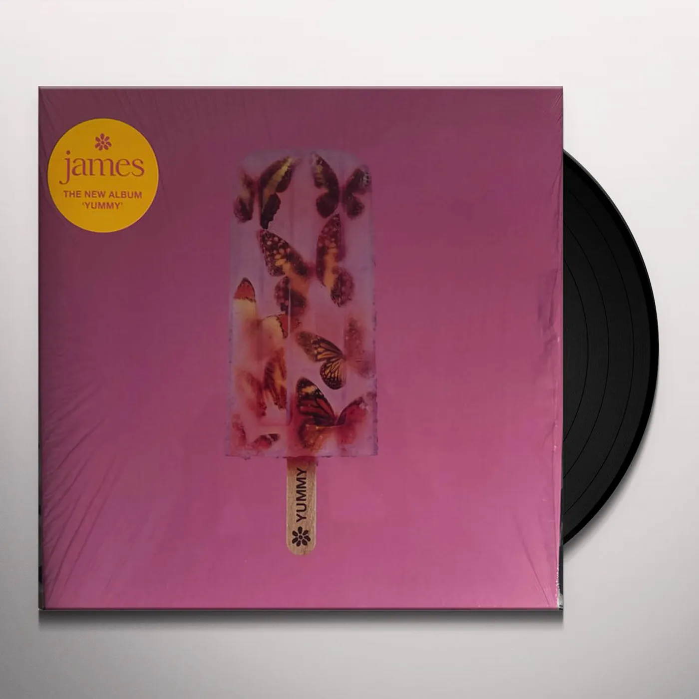 James YUMMY Vinyl Record