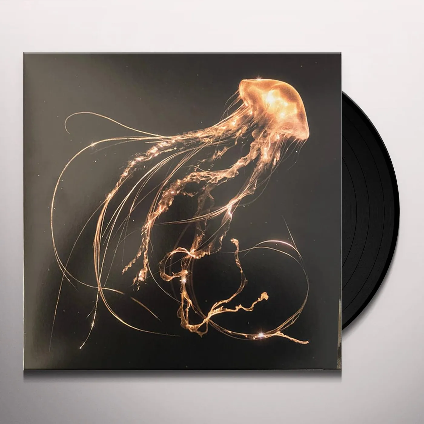 Royal Blood BACK TO THE WATER BELOW Vinyl Record
