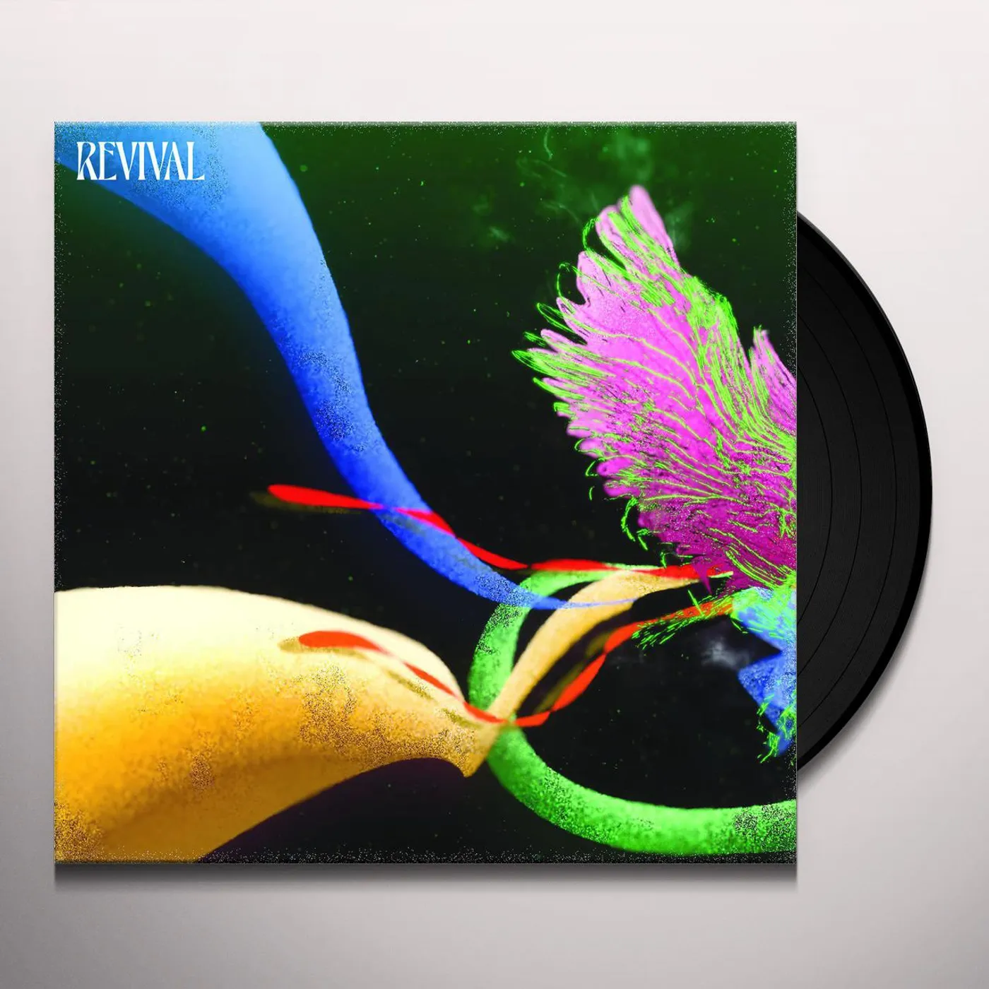 Judah & the Lion Revival Vinyl Record