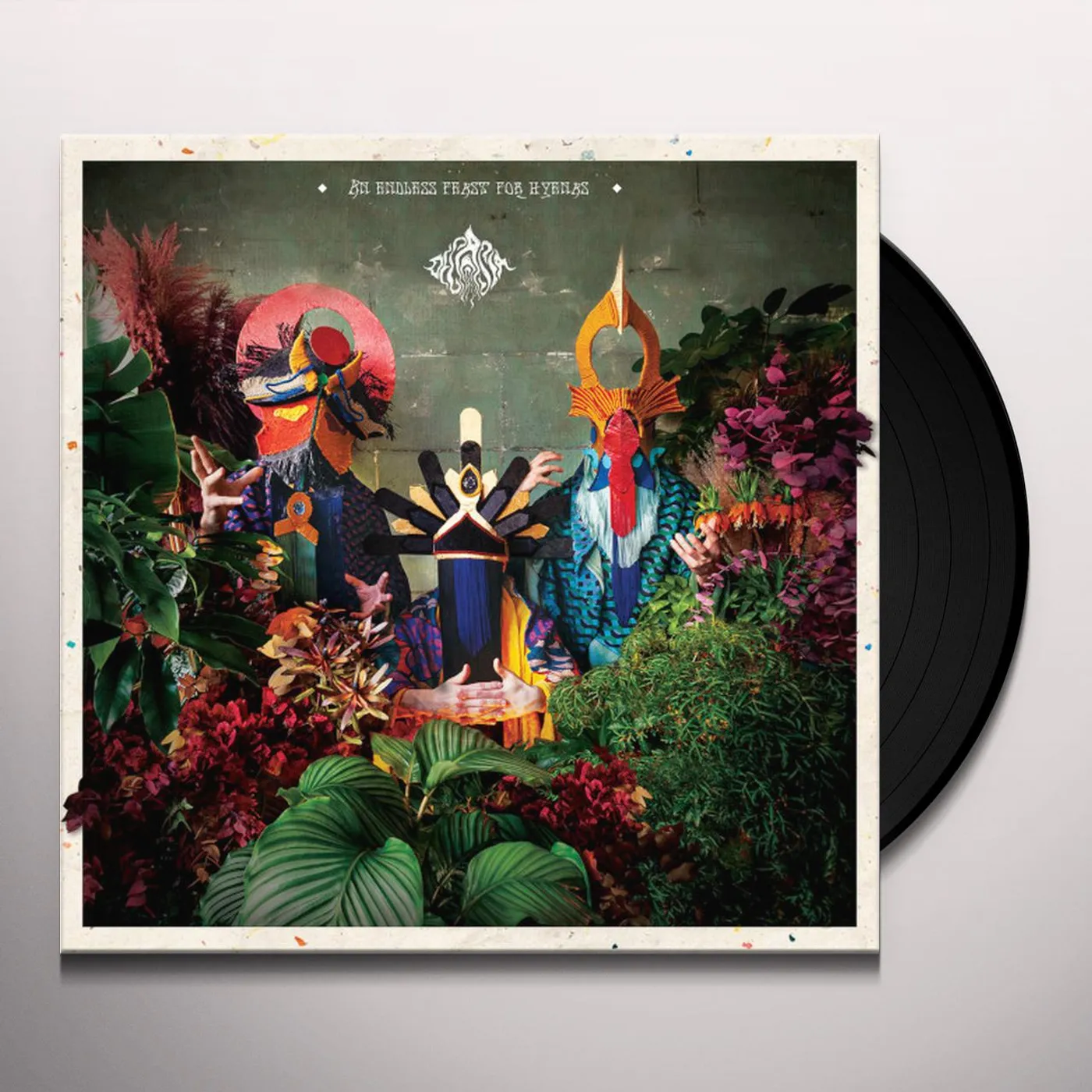 Decasia ENDLESS FEAST FOR HYENAS Vinyl Record