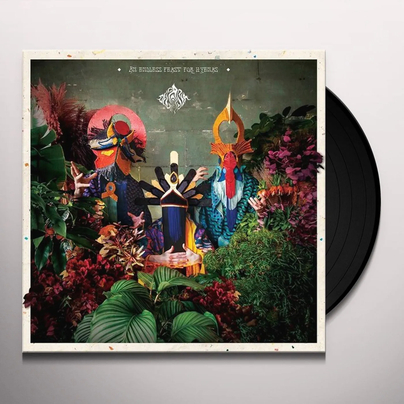 Decasia ENDLESS FEAST FOR HYENAS Vinyl Record