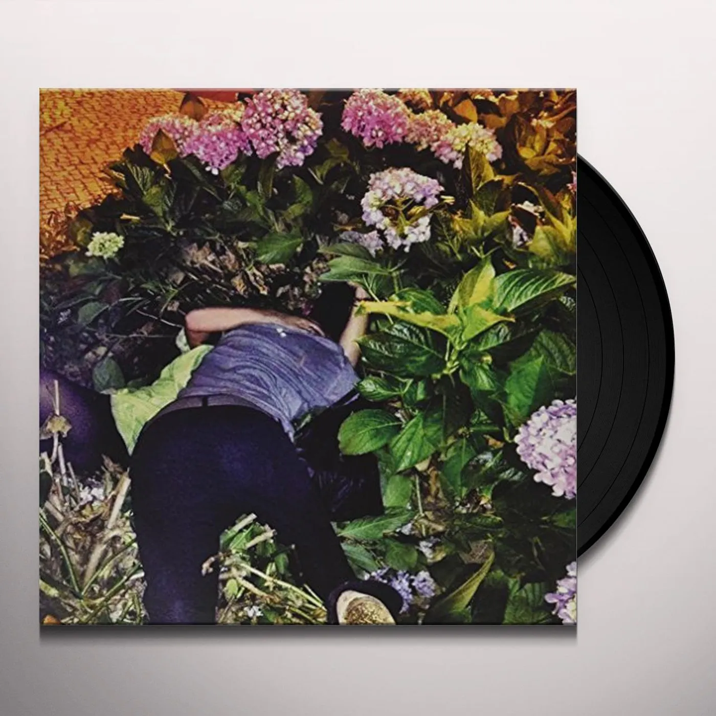 Paus CLARAO Vinyl Record