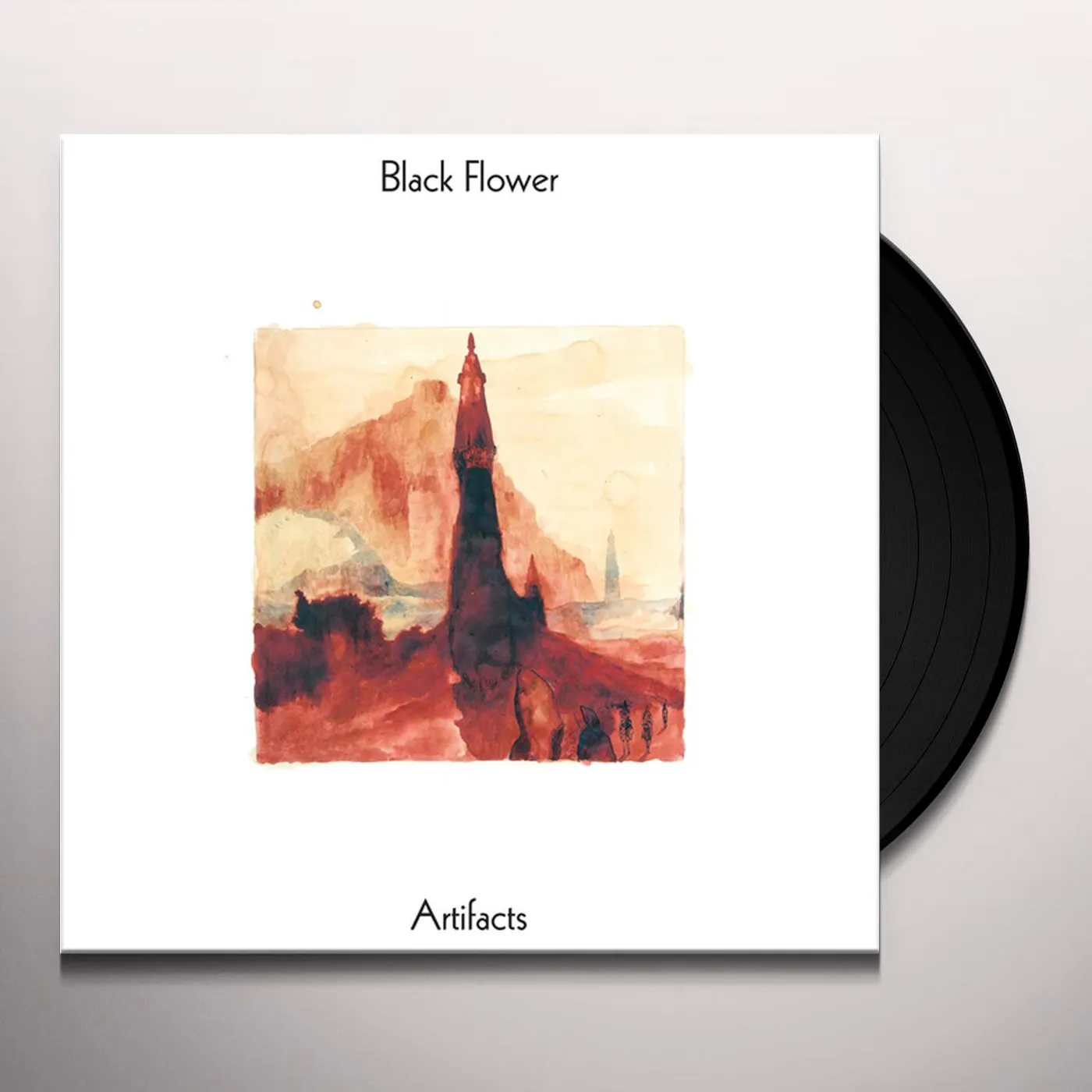 Black Flower Artifacts Vinyl Record