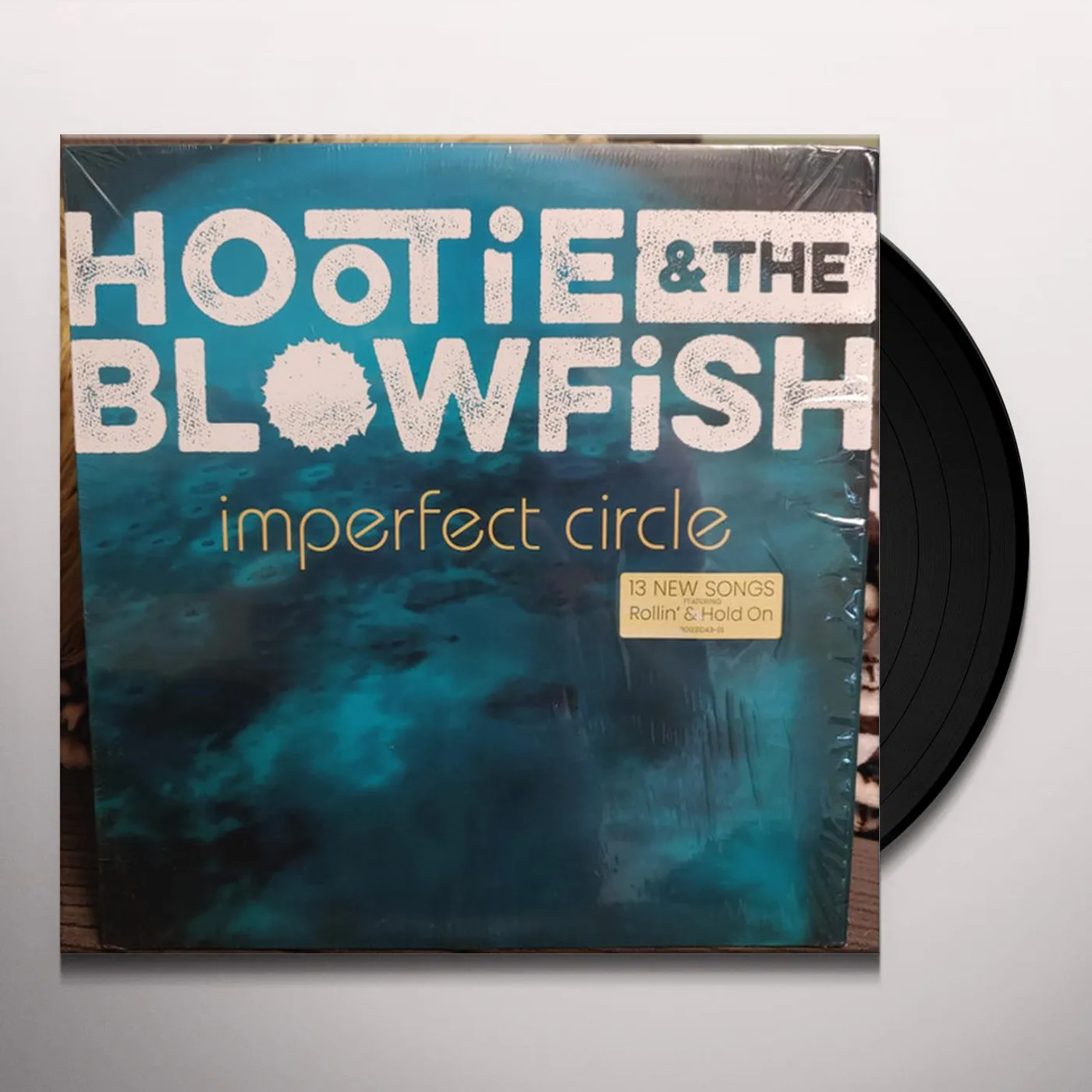Hootie & The Blowfish Imperfect Circle Vinyl Record