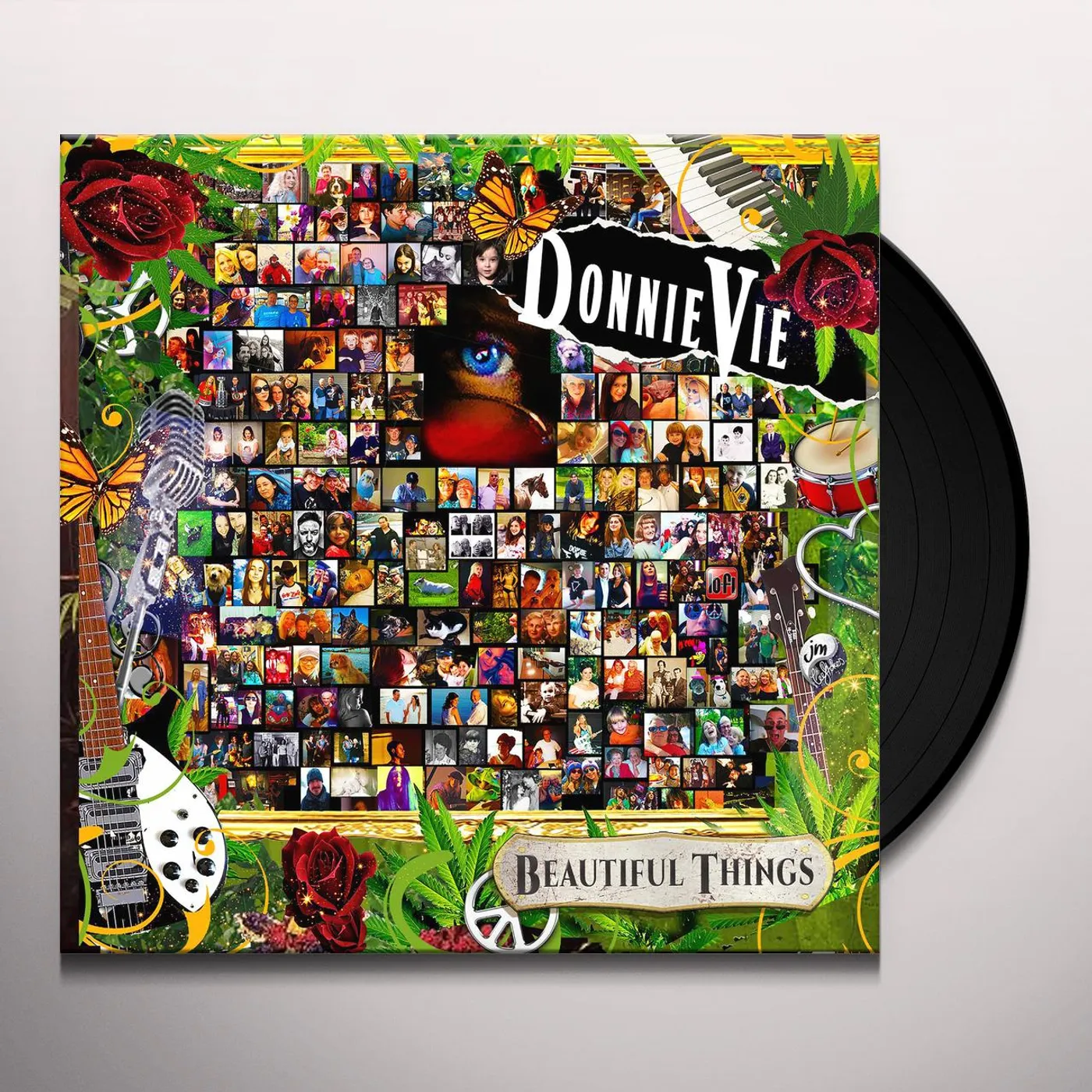 Donnie Vie Beautiful Things Vinyl Record