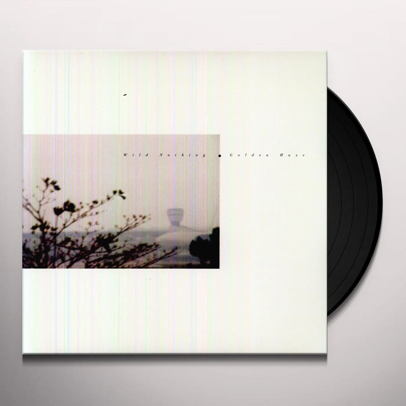 Wild Nothing Golden Haze Vinyl Record