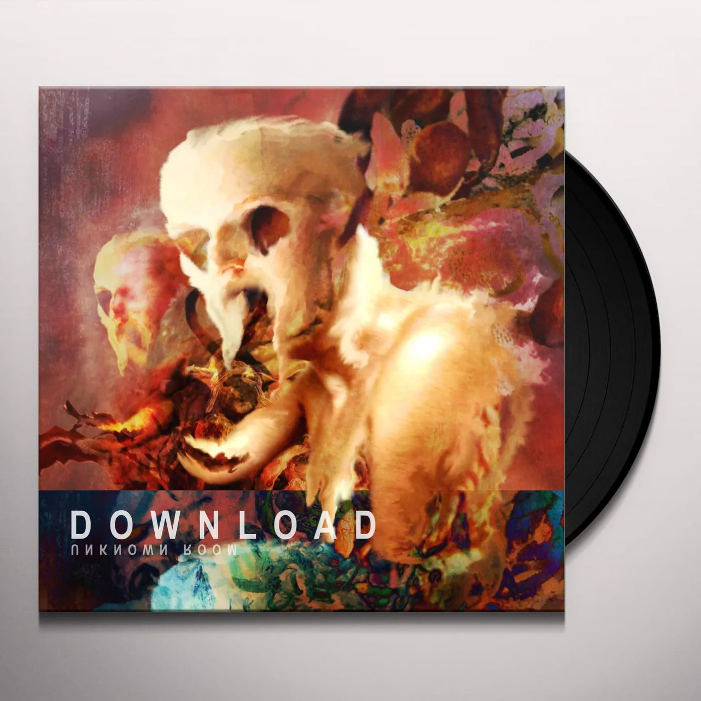 Download Unknown Room Vinyl Record