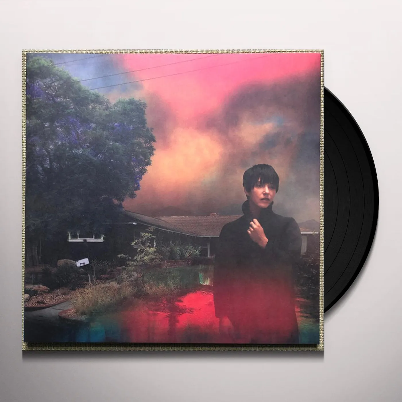Sharon Van Etten WE'VE BEEN GOING ABOUT THIS ALL WRONG Vinyl Record