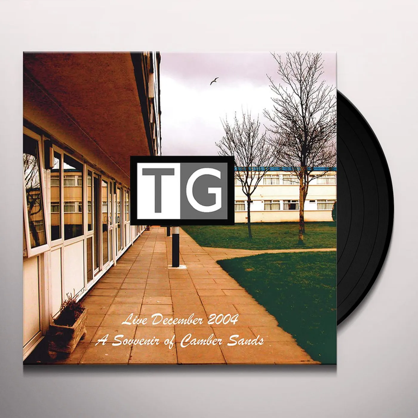 Throbbing Gristle SOUVENIR OF CAMBER SANDS Vinyl Record