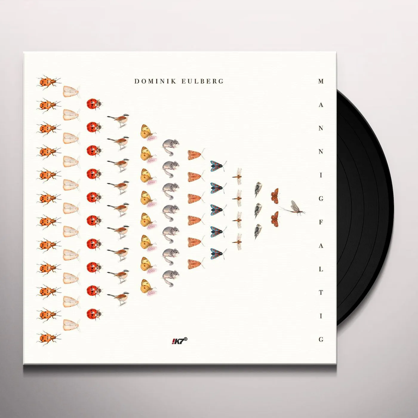 Dominik Eulberg Mannigfaltig Vinyl Record