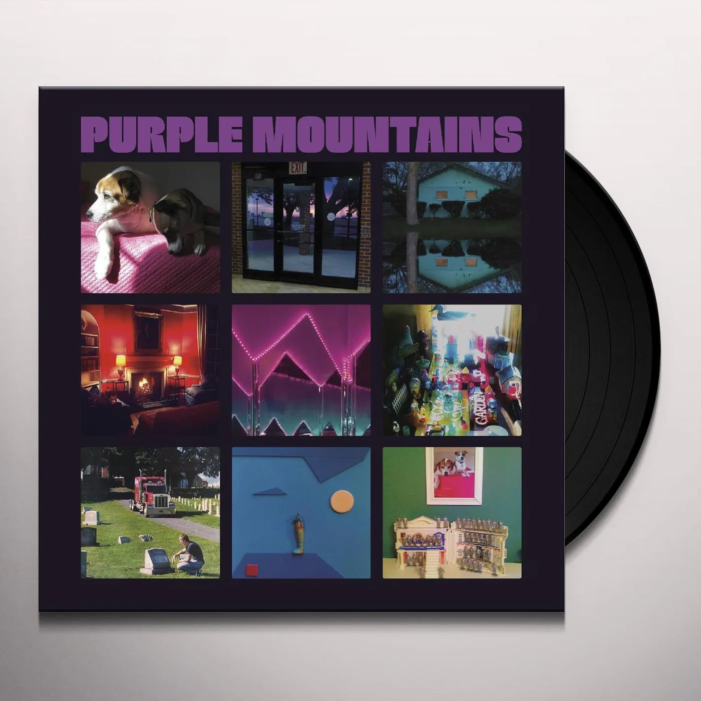 Purple Mountains Vinyl Record