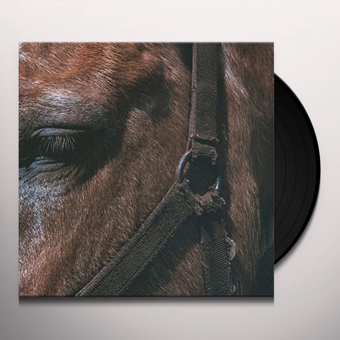 Darto FUNDAMENTAL SLIME Vinyl Record