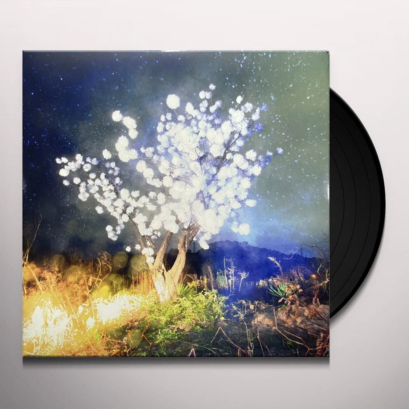 The Notwist Vertigo Days Vinyl Record