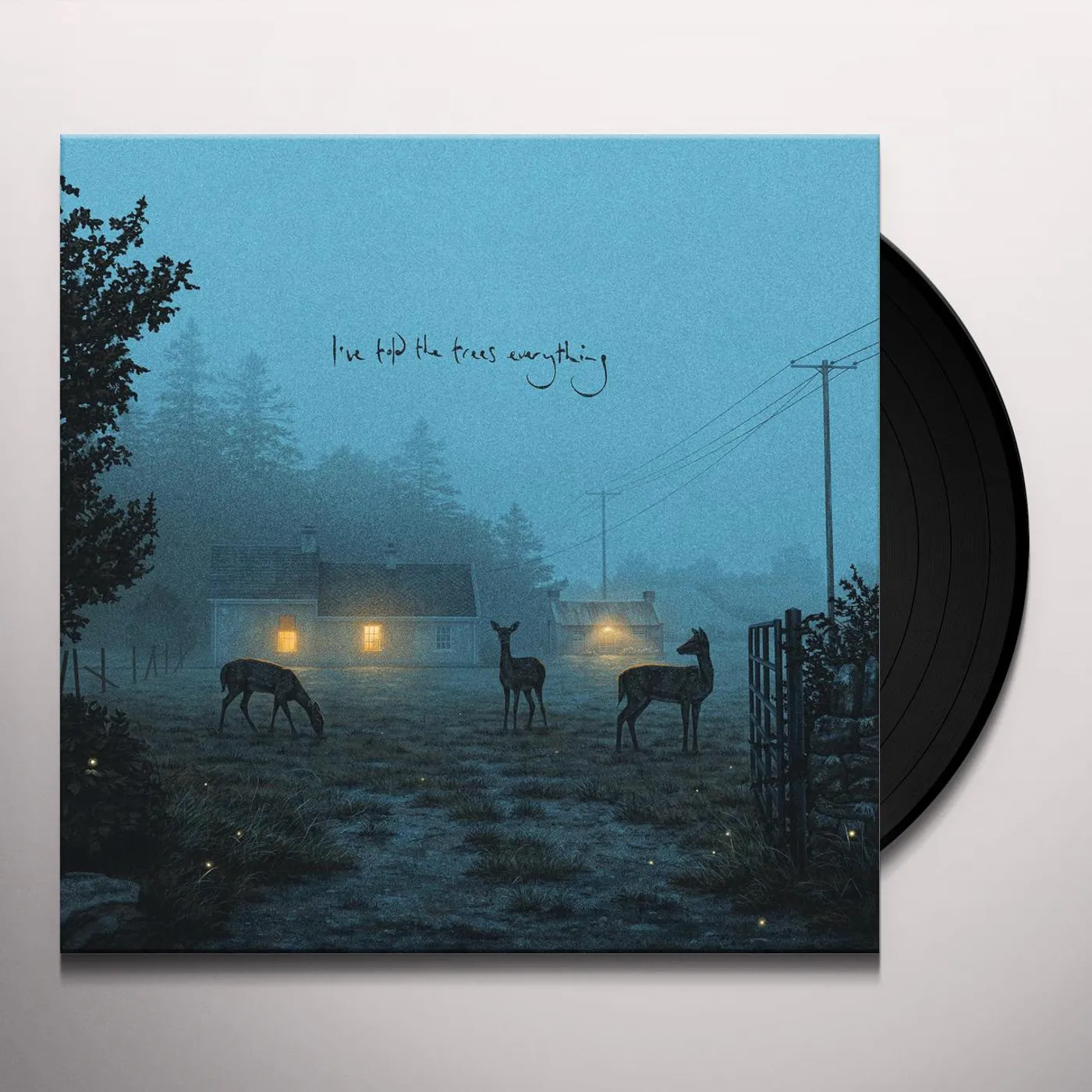 Dermot Kennedy I've Told The Trees Everything Vinyl Record