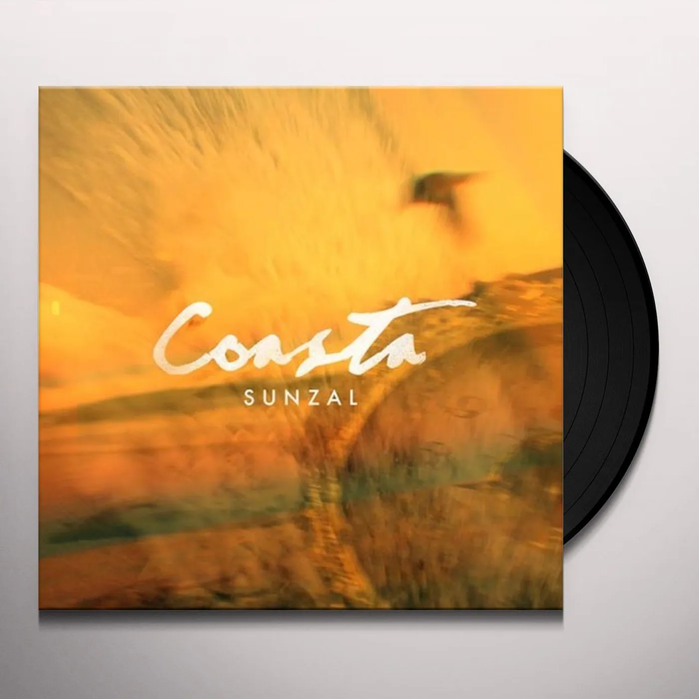 Coasta Sunzal Vinyl Record