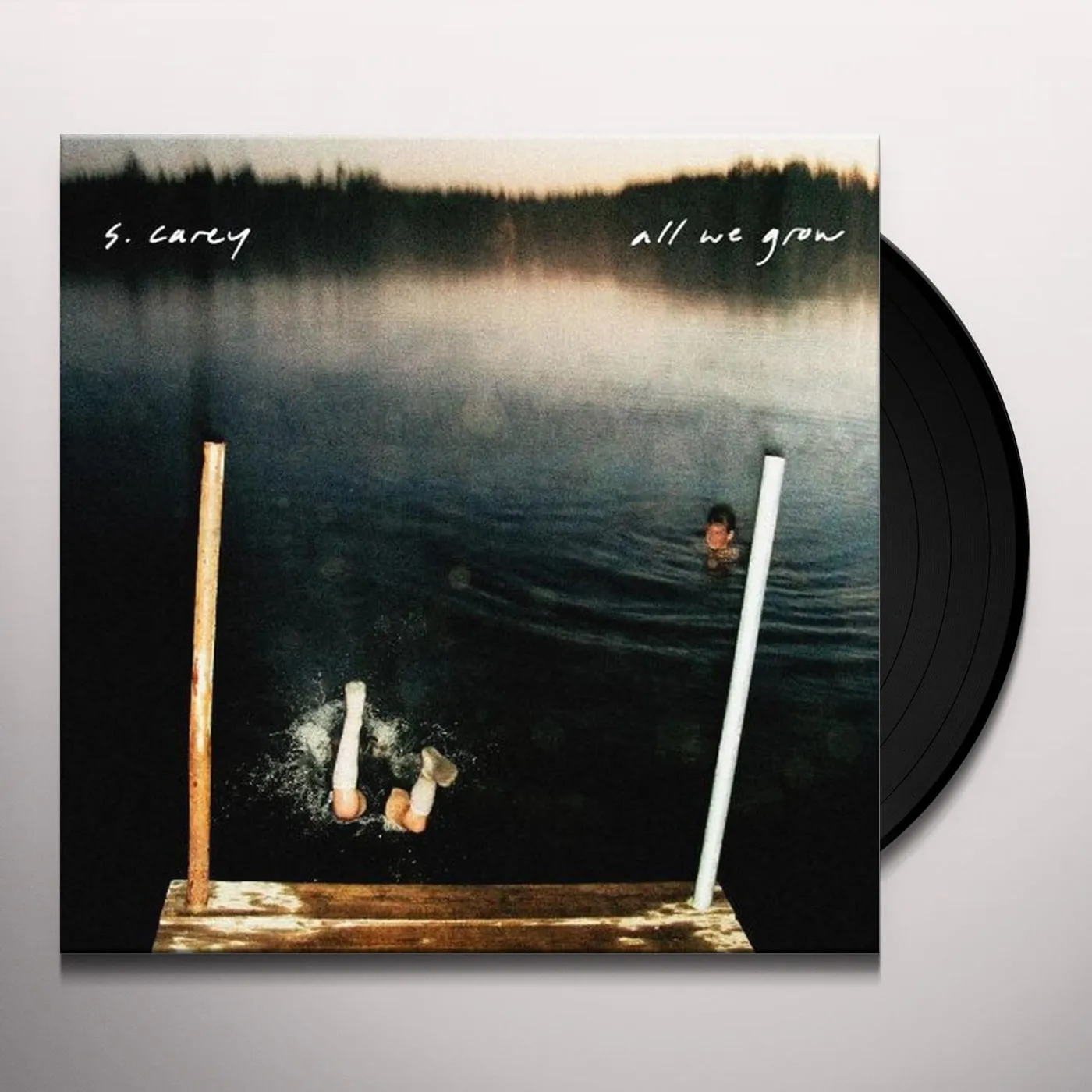S. Carey All We Grow Vinyl Record