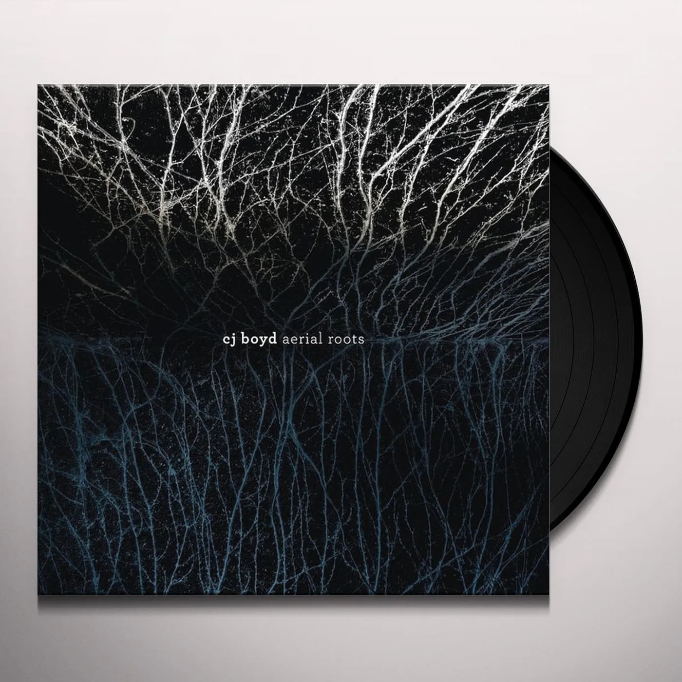 C.J. Boyd Aerial Roots Vinyl Record