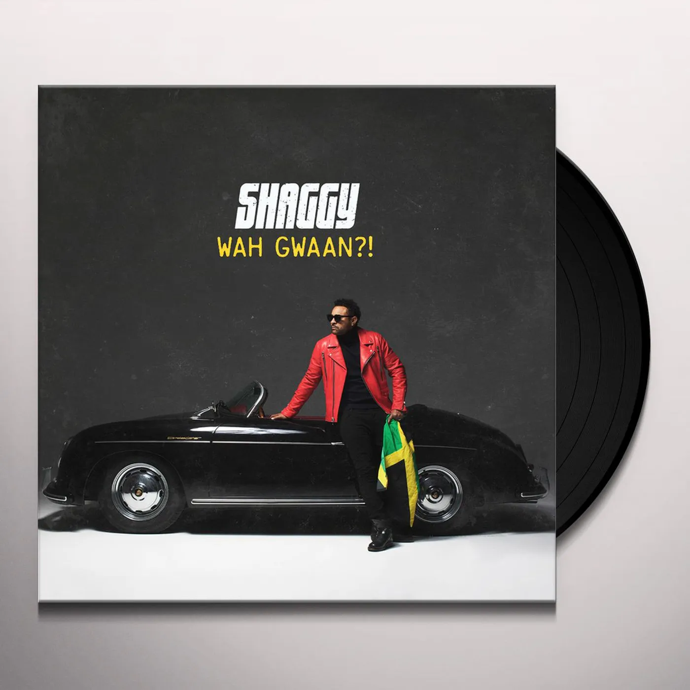 SHAGGY Vinyl Record