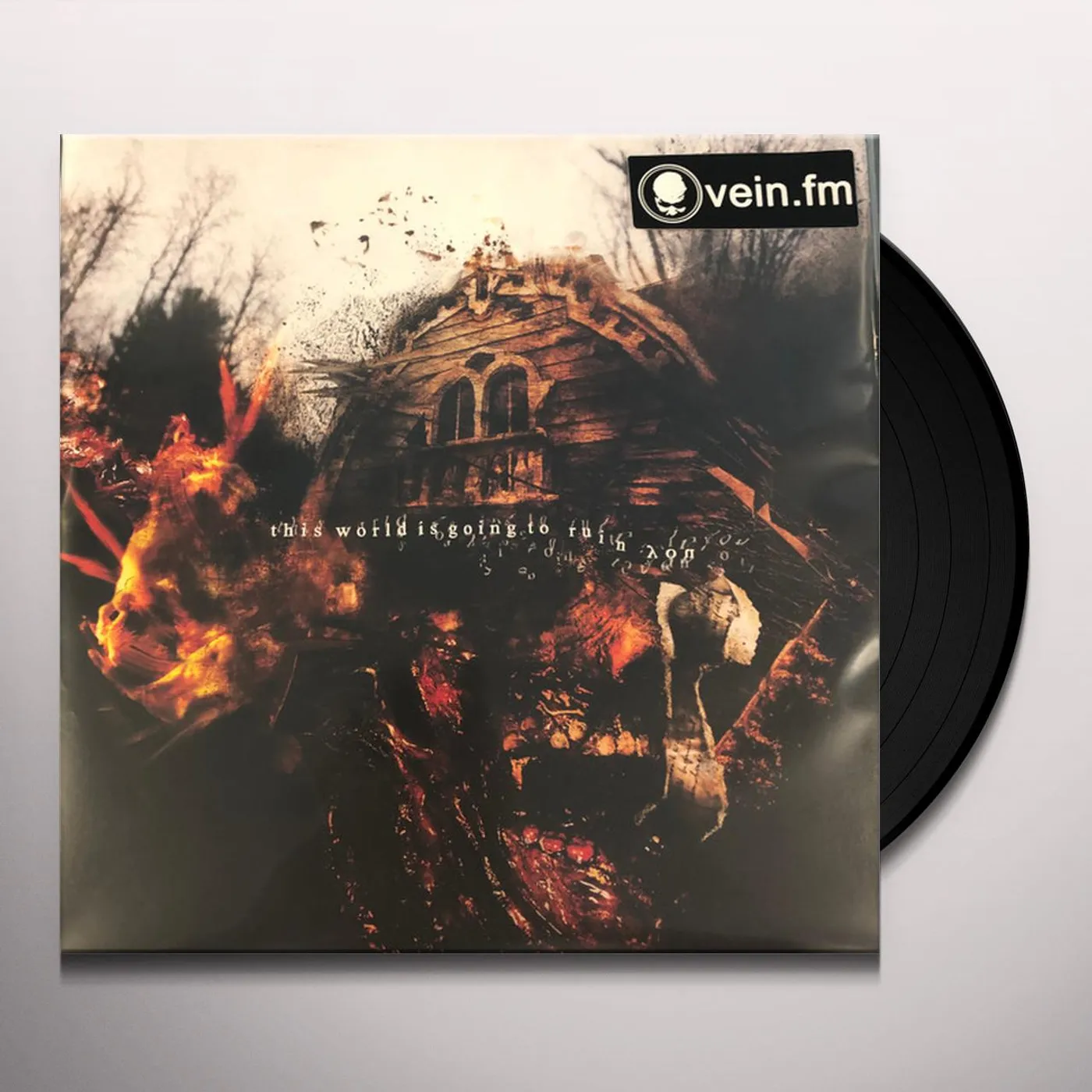 Vein.fm THIS WORLD IS GOING TO RUIN YOU (RED & BLACK GALAXY MIX VINYL) Vinyl Record