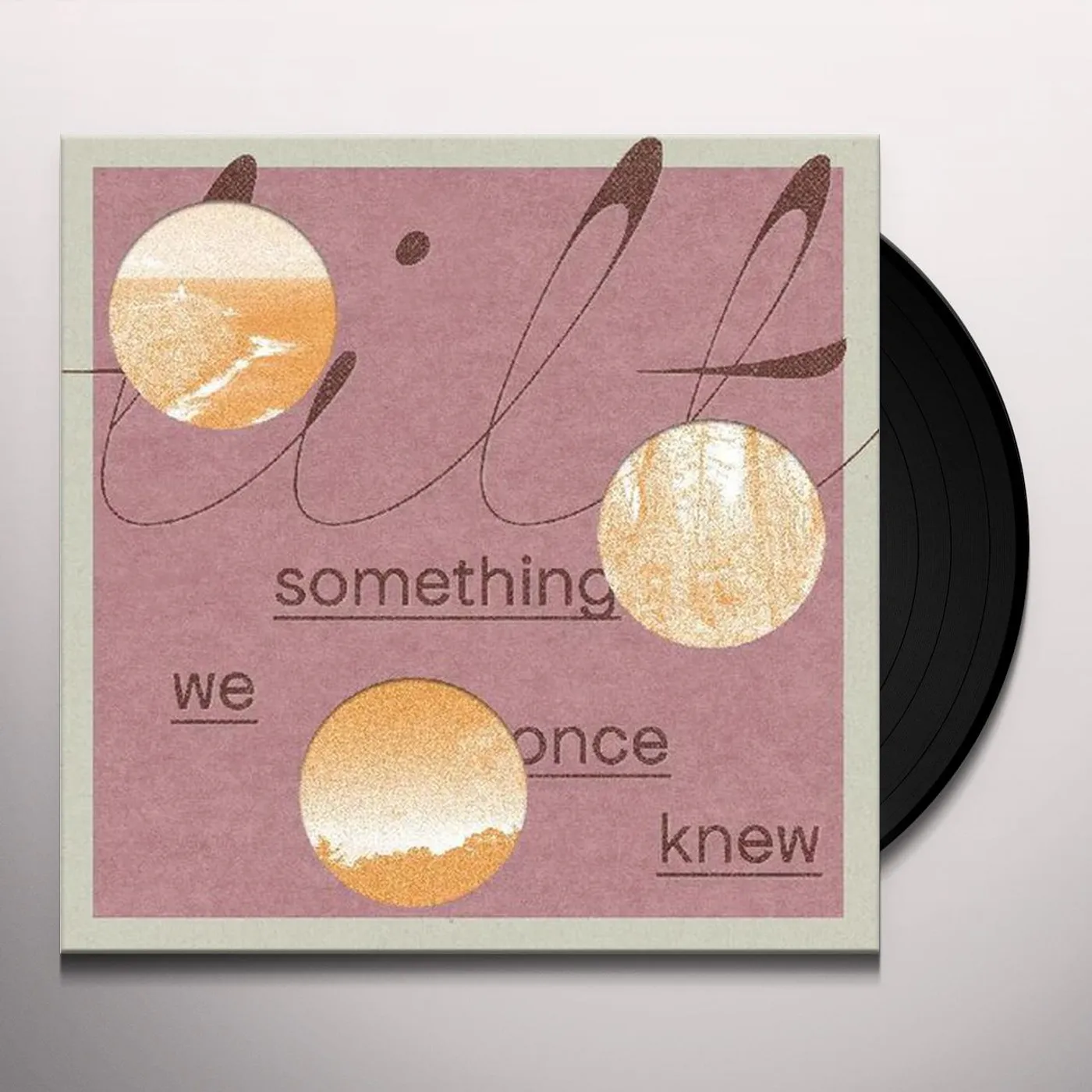 Tilt Something We Once Knew Vinyl Record
