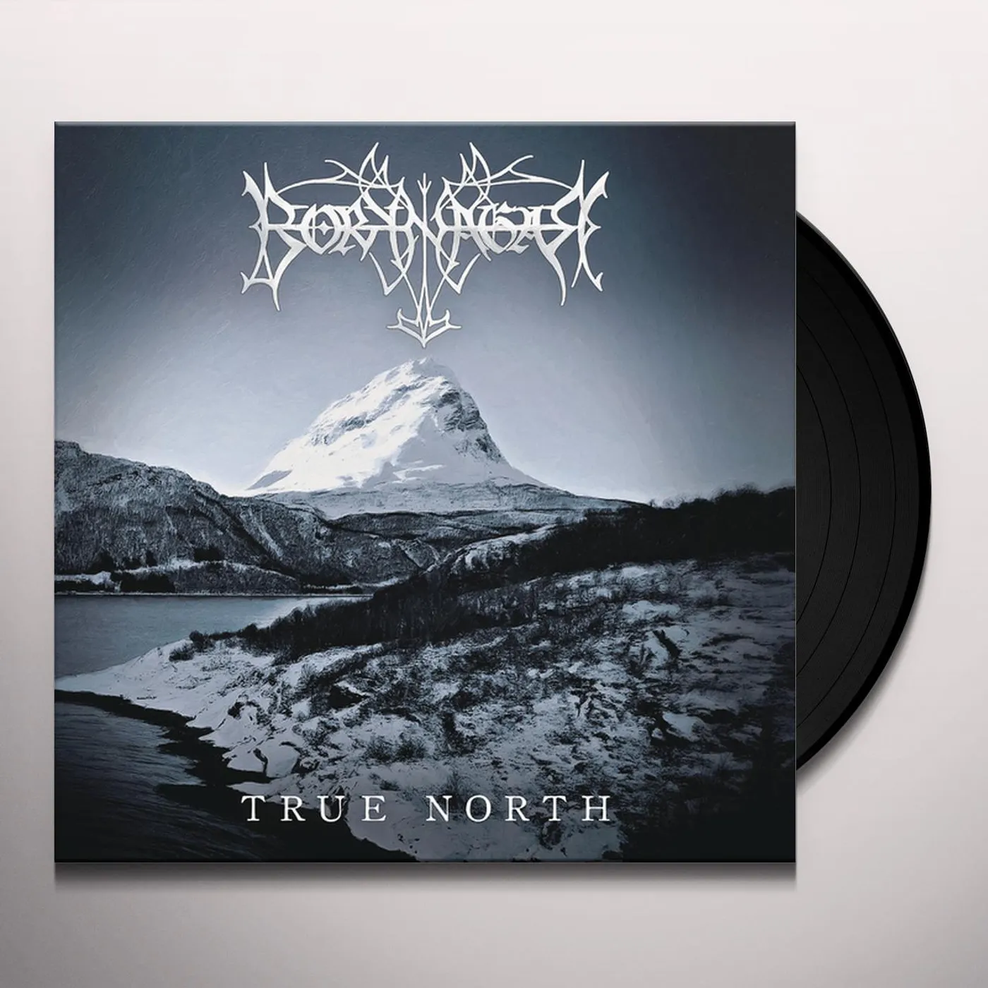 Borknagar TRUE NORTH (180G) Vinyl Record